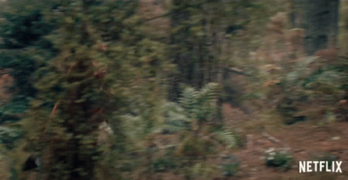 A Woman In A Brown Dress Is Running Through A Forest . GIF