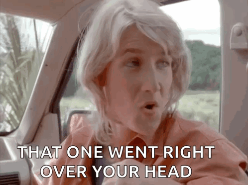 A Woman In A Car With The Words That One Went Right Over Your Head Above Her GIF