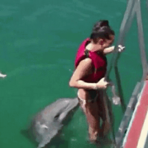 A Woman In A Life Jacket Is Holding A Dolphin In The Water GIF