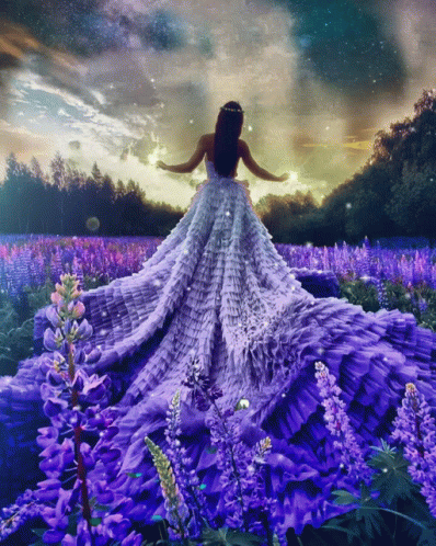 A Woman In A Long Purple Dress Is In A Field Of Purple Flowers GIF