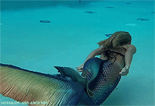 A Woman In A Mermaid Costume Is Swimming In The Water GIF