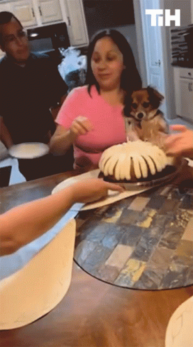 a woman in a pink shirt is holding a dog in her lap while a person holds a cake with the letters th above it