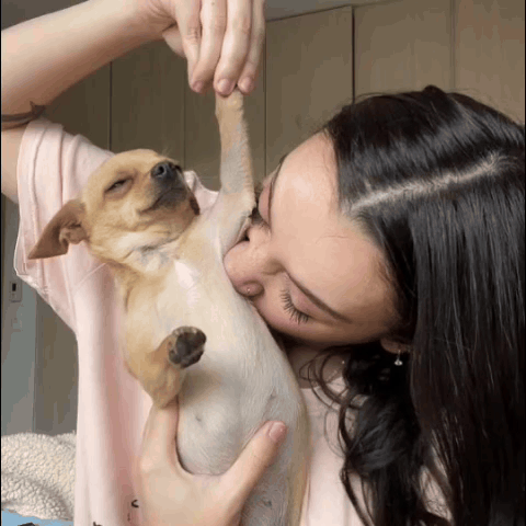 A Woman In A Pink Shirt Is Kissing A Small Dog On The Nose GIF