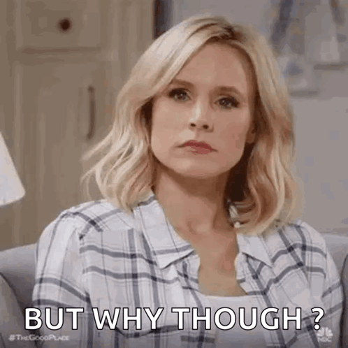 A Woman In A Plaid Shirt Is Sitting On A Couch And Saying `` But Why Though ? '' GIF