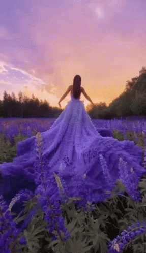 A Woman In A Purple Dress Is Walking Through A Field Of Purple Flowers . GIF