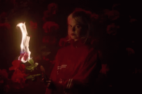 A Woman In A Red Adidas Sweatshirt Holds A Burning Flower GIF