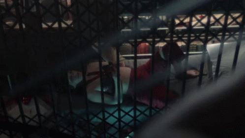 A Woman In A Red Dress Is Behind Bars In A Cage GIF