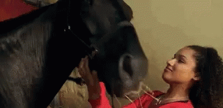 A Woman In A Red Shirt Is Petting A Black Horse On The Nose . GIF