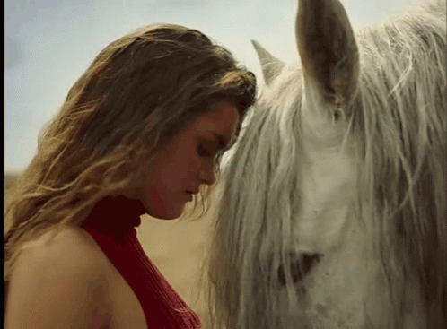 A Woman In A Red Sweater Looks Down At Her White Horse GIF