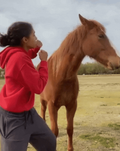 A Woman In A Red Sweatshirt Stands Next To A Brown Horse GIF
