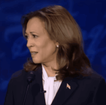 A Woman In A Suit Speaking Into A Microphone With An American Flag Pin On Her Jacket GIF