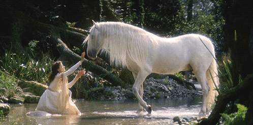 A Woman In A White Dress Reaches Out To A White Horse In The Water GIF