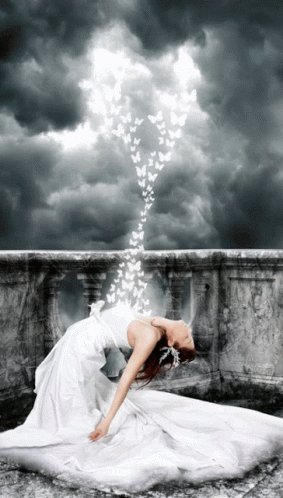 A Woman In A White Dress With A Bunch Of Butterflies Coming Out Of Her Dress GIF