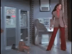 A Woman In Red Pants And A Brown Jacket Is Standing In A Room GIF