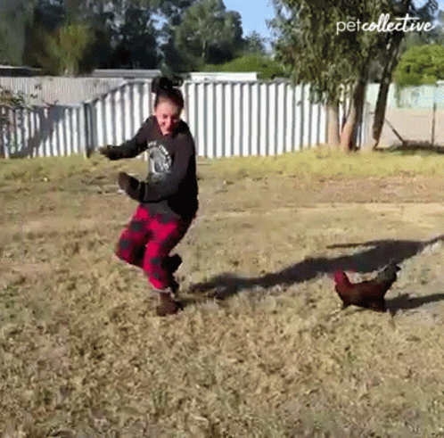 A Woman Is Dancing With A Chicken In A Field With Petcollective Written On The Bottom Right GIF