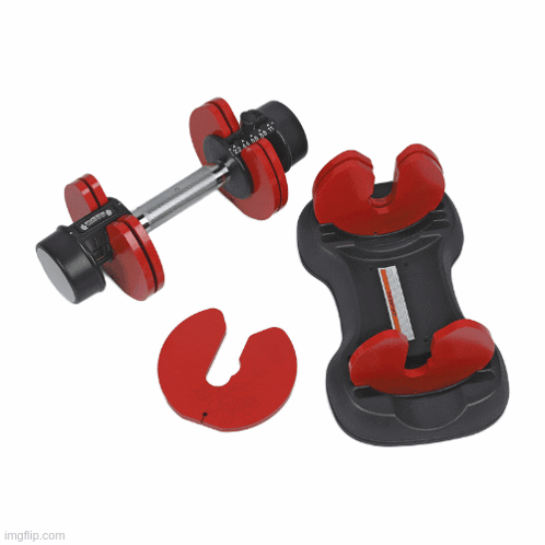 A Woman Is Doing Exercises With A Dumbbell In Her Hand GIF