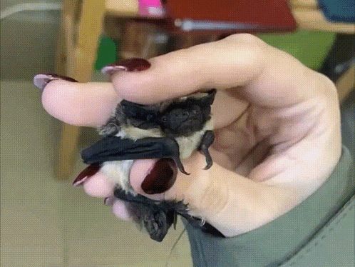 A Woman Is Holding A Bat In Her Hand GIF