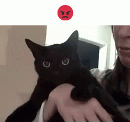 A Woman Is Holding A Black Cat With A Red Angry Face Behind It GIF