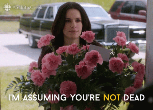 A Woman Is Holding A Bouquet Of Pink Flowers And Says I 'M Assuming You 'Re Not Dead GIF