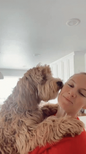 A Woman Is Holding A Dog In Her Arms And The Dog Is Sniffing The Woman 'S Face GIF