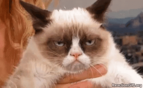 A Woman Is Holding A Grumpy Cat In Her Arms And It Is Looking At The Camera . GIF