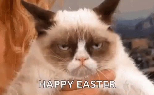 A Woman Is Holding A Grumpy Cat In Her Arms And Says `` Happy Easter '' . GIF