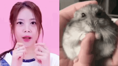 a woman is holding a hamster in her hands next to a picture of a person holding a hamster .