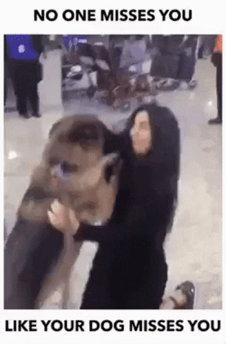 A Woman Is Holding A Large Dog In Her Arms And Says No One Misses You Like Your Dog Misses You . GIF