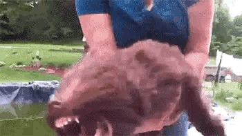 A Woman Is Holding A Large Dog In Her Arms . GIF