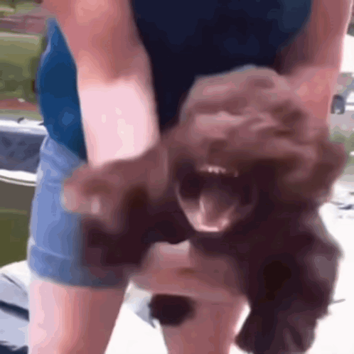 A Woman Is Holding A Small Dog With Its Mouth Open . GIF