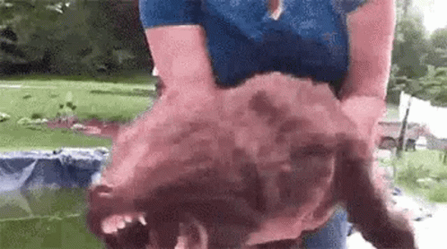 A Woman Is Holding A Very Large Animal In Her Hands . GIF