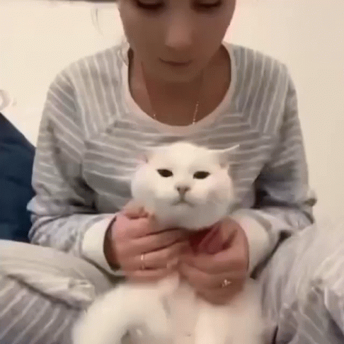 A Woman Is Holding A White Cat In Her Lap While Sitting On A Bed . GIF