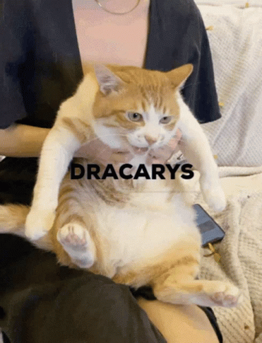 A Woman Is Holding An Orange And White Cat With The Word Dracarys On The Bottom Right GIF