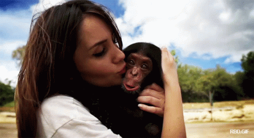 A Woman Is Kissing A Small Chimpanzee In Her Arms GIF