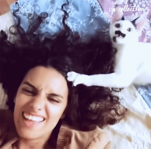 A Woman Is Laying On A Bed With A Cat On Her Head And The Words Petcollective Are On The Bottom GIF