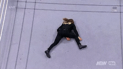 a woman is laying on the floor in a wrestling ring .
