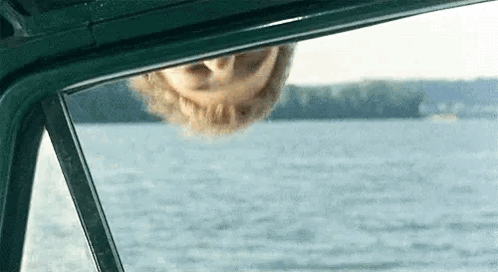 A Woman Is Looking Out Of A Car Window At The Water . GIF