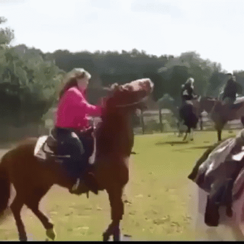 A Woman Is Riding A Horse In A Field With Other People Riding Horses . GIF