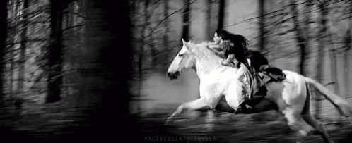 A Woman Is Riding On The Back Of A White Horse Through A Forest . GIF