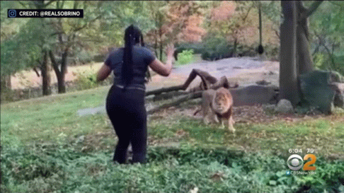 A Woman Is Running Away From A Lion In A Park GIF