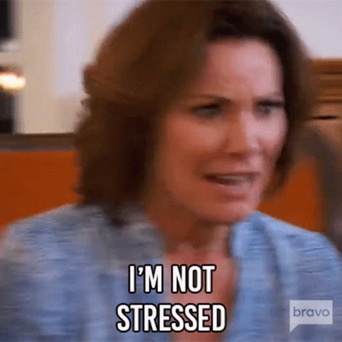 A Woman Is Saying I 'M Not Stressed On Bravo GIF