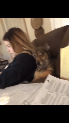 A Woman Is Sitting At A Desk With A Dog Laying On Her Lap GIF