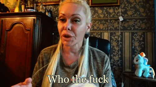 A Woman Is Sitting In Front Of A Stuffed Pony And Says Who The Fuck GIF