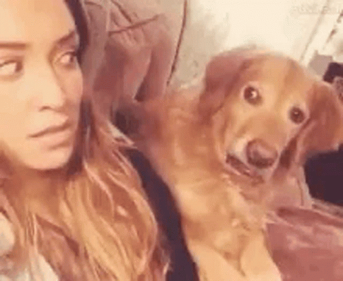 A Woman Is Sitting On A Couch With A Dog Looking At Her . GIF