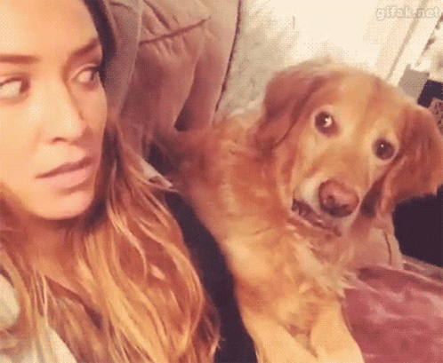 A Woman Is Sitting On A Couch With A Dog On Her Lap Looking At The Camera . GIF