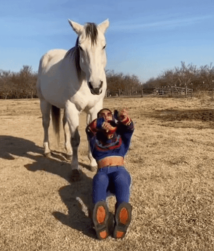 A Woman Is Sitting On The Ground In Front Of A White Horse . GIF