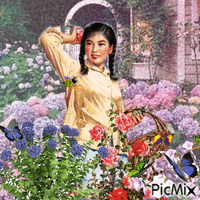 A Woman Is Standing In A Garden Of Flowers Holding A Basket . GIF