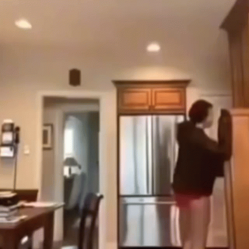 A Woman Is Standing In A Kitchen Next To A Refrigerator . GIF
