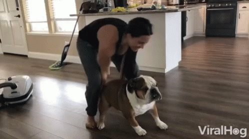 A Woman Is Standing Next To A Bulldog In A Living Room With The Words Viralhog On The Bottom GIF