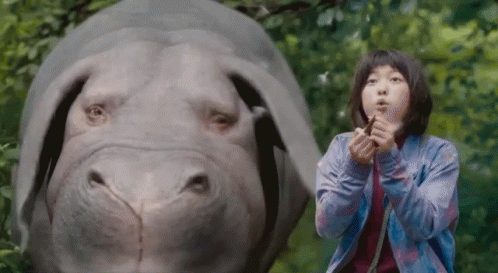 A Woman Is Standing Next To A Rhino And Blowing A Whistle . GIF